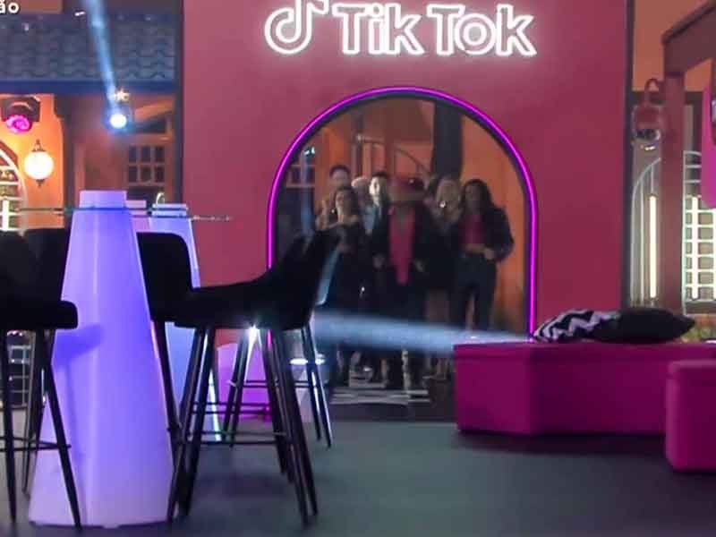 Festa Tema Tik Tok "A fazenda 13"